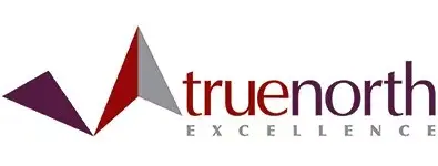 True North Excellence logo